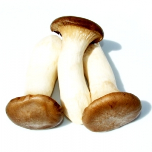 Mushrooms - King Brown