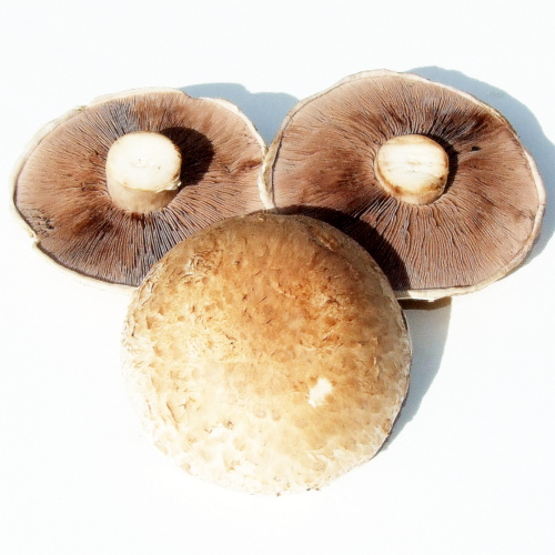 Mushrooms - Portabello (375g)