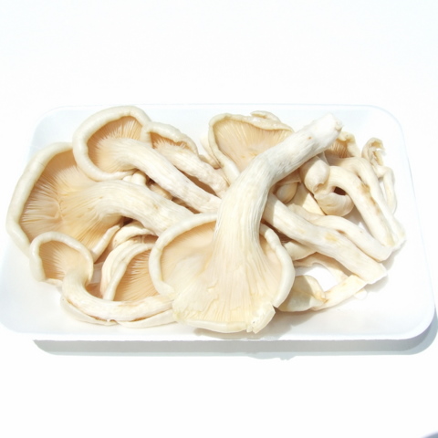Mushrooms - Oyster (150g)
