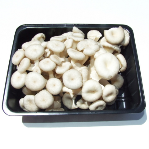 Mushrooms - Shimeji (150g)