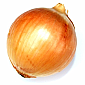 Onion - Brown
