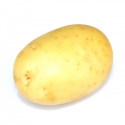 Potato - Large Washed