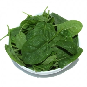 Spinach - Baby Leaves