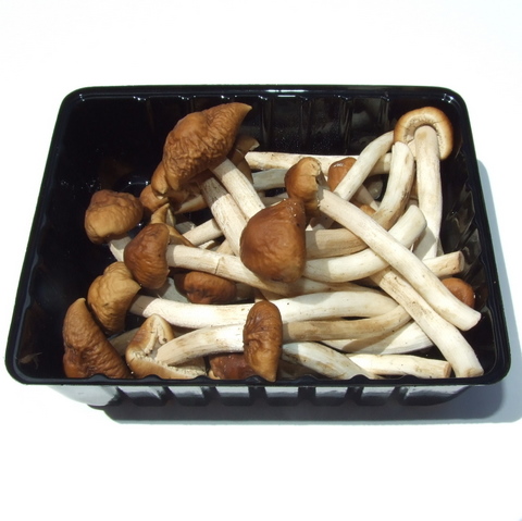 Mushrooms - Chestnut (100g)