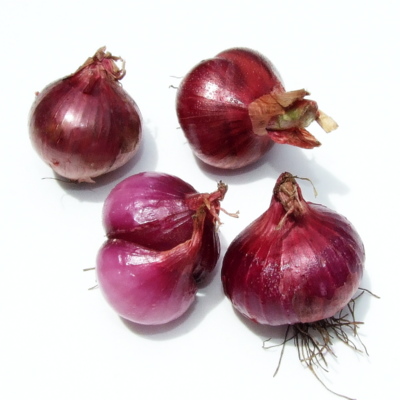 Shallots - Red
