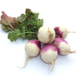 Turnips - Baby