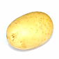 Potato - Medium Washed