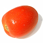 Tomato - Roma/Egg